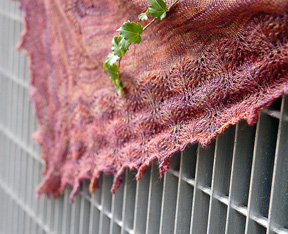 Painted Plumes shawl