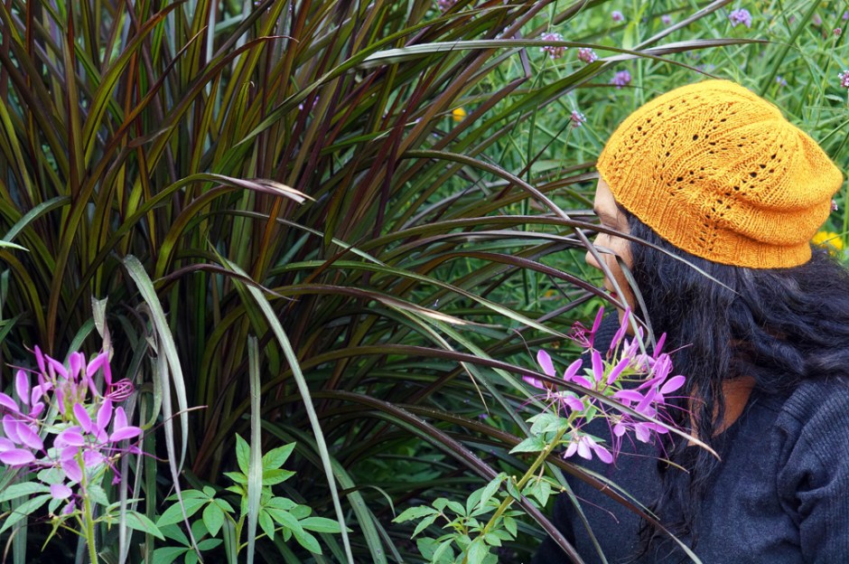 Where Wild Grass Grows HAT